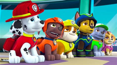 paw patrol youtube|youtube paw patrol newest episodes.